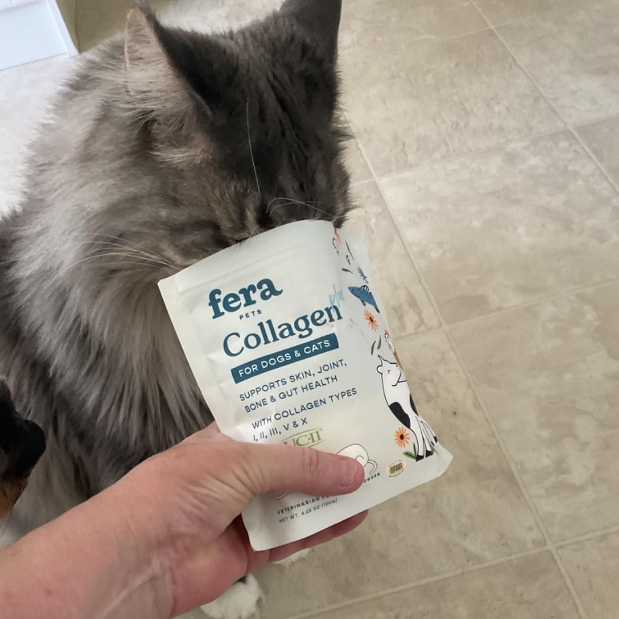 Collagen Plus Supplement for Picky Cats