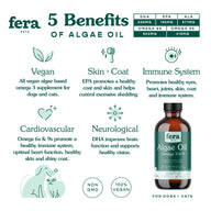 5 Benefits of Algea Oil for Dogs and Cats 