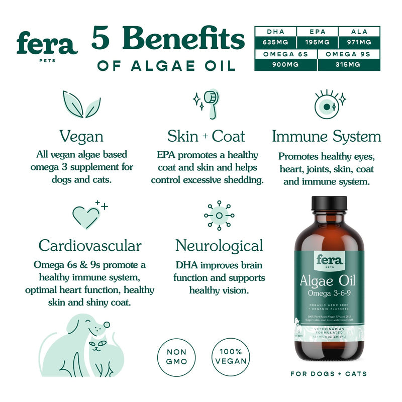 5 Benefits of Algea Oil for Dogs and Cats 