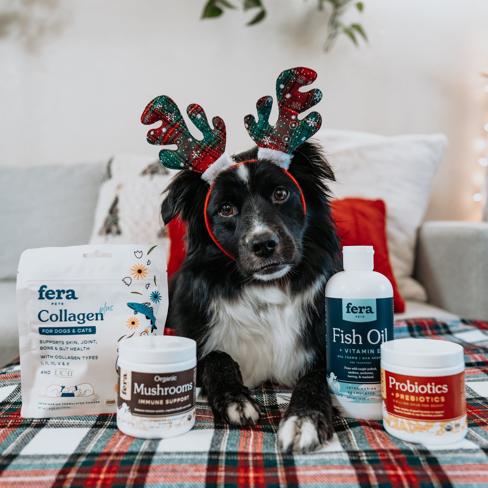 FERA Holiday Bundle