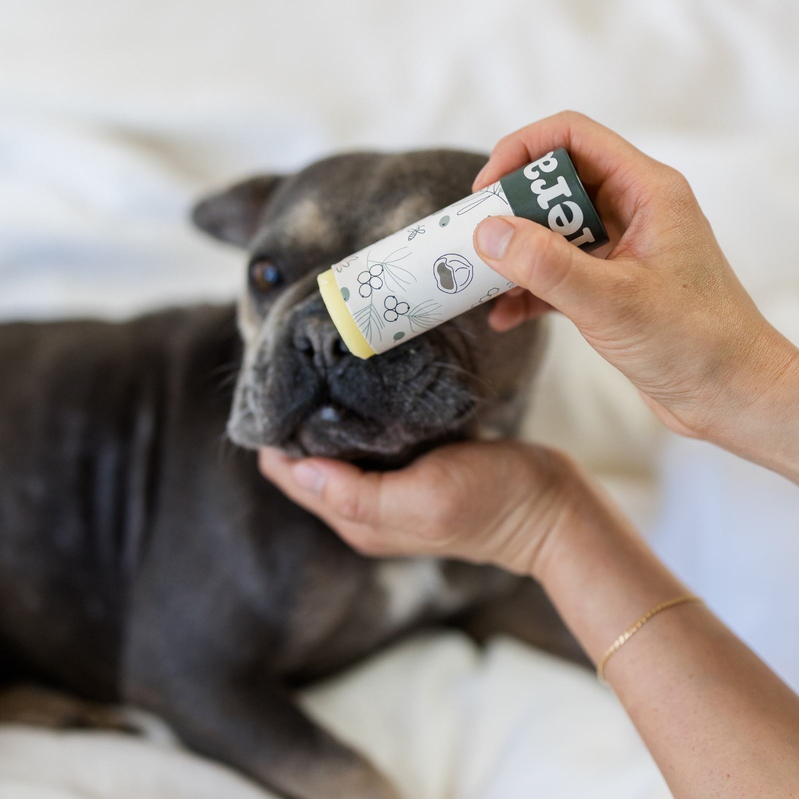 PawBiome® Pet Balm