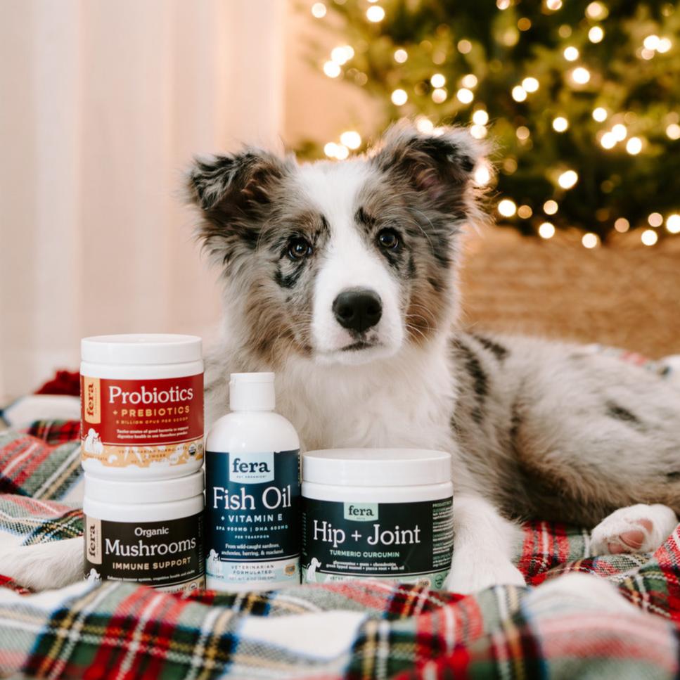 Give your pet the gift of wellness with 30% OFF 🎁